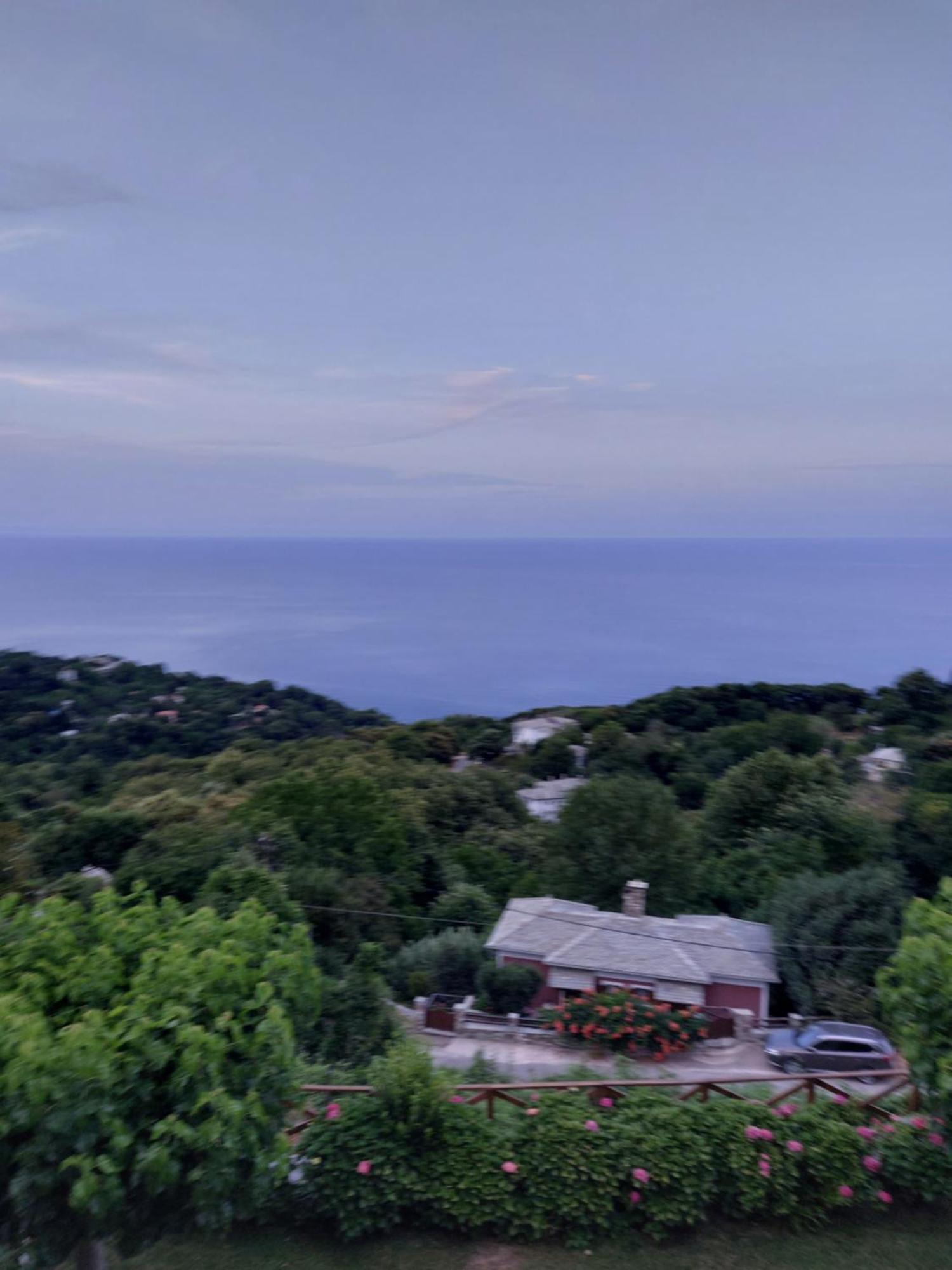 Θαλλώ Luxurious Villa Tsagkarada Zimmer foto